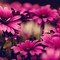 Thumb awesome pink flower hd wallpapers